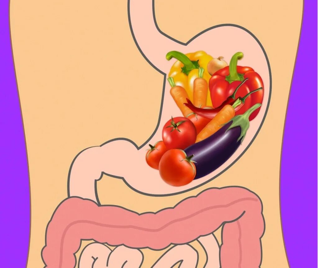 Переваривание пищи. Еда в желудке для детей. Что переваривает еду в желудке. Пища стоит в желудке