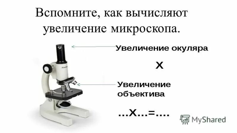 Общее увеличение микроскопа. Таблица увеличения микроскопа. полезное увеличение микроскопа. увеличение, полезное увеличение микроскопа.. угловое увеличение микроскопа.