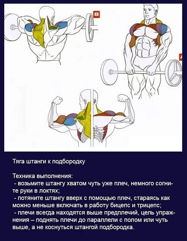 Тяга к подбородку техника выполнения. Протяжка штанги к подбородку стоя. Протяжка со штангой техника. «Протяжка» штанги узким хватом к подбородку.. Тяга штанги к подбородку (протяжка).