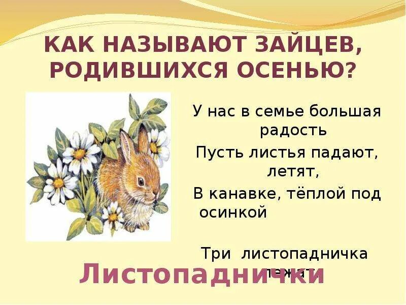 Соколов Микитов Листопадничек 3 класс. Листопадничек Соколов-Микитов план. Листопадничек Соколов-Микитов 3 класс школа России. Листопаднички 3 класс литературное чтение. Читательский дневник листопадничек