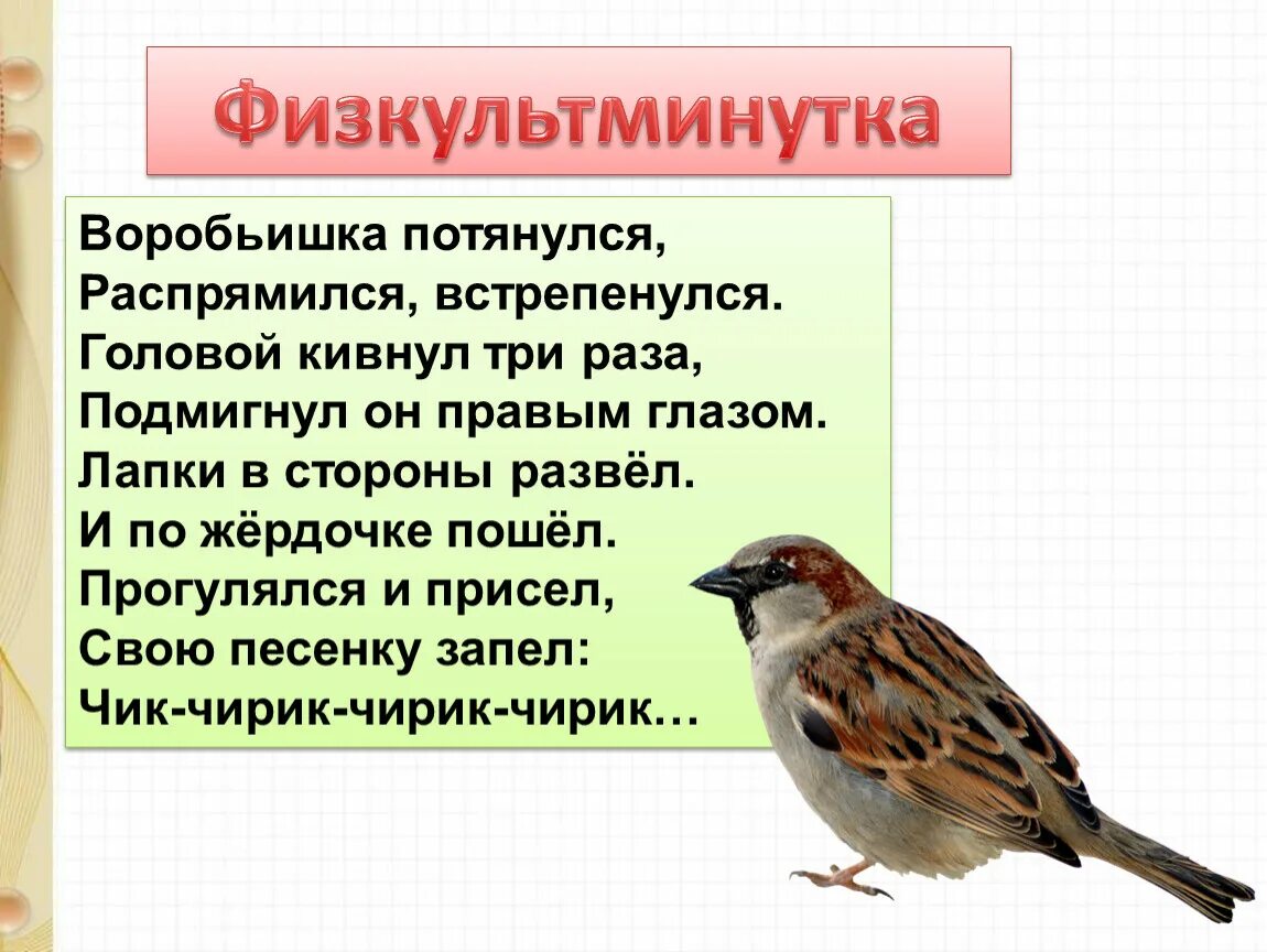 Воробьишка рассказ. Воробьишка встрепенулся. Воробьишко Горький. Физминутка Воробьишко.