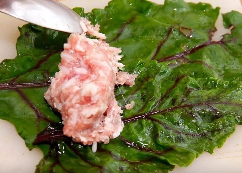 Голубцы из листьев свеклы с мясным фаршем. Мангольд голубцы. голубцы в свекольных листьях. блюда из свекольных листьев. голубцы из свекольных листьев.