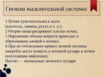 Профилактика выделительной системы