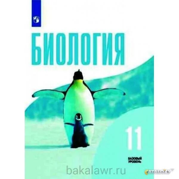 Биология шумный 11 класс. Биология 11 класс учебник Беляев Дымшиц. Биология 10 класс базовый уровень Беляев. Книга по биологии 11 класс Беляев. Д.К.Беляев биология 11 класс.