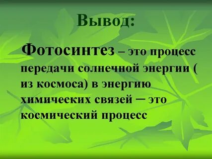 Фотосинтез 9 класс биология презентация