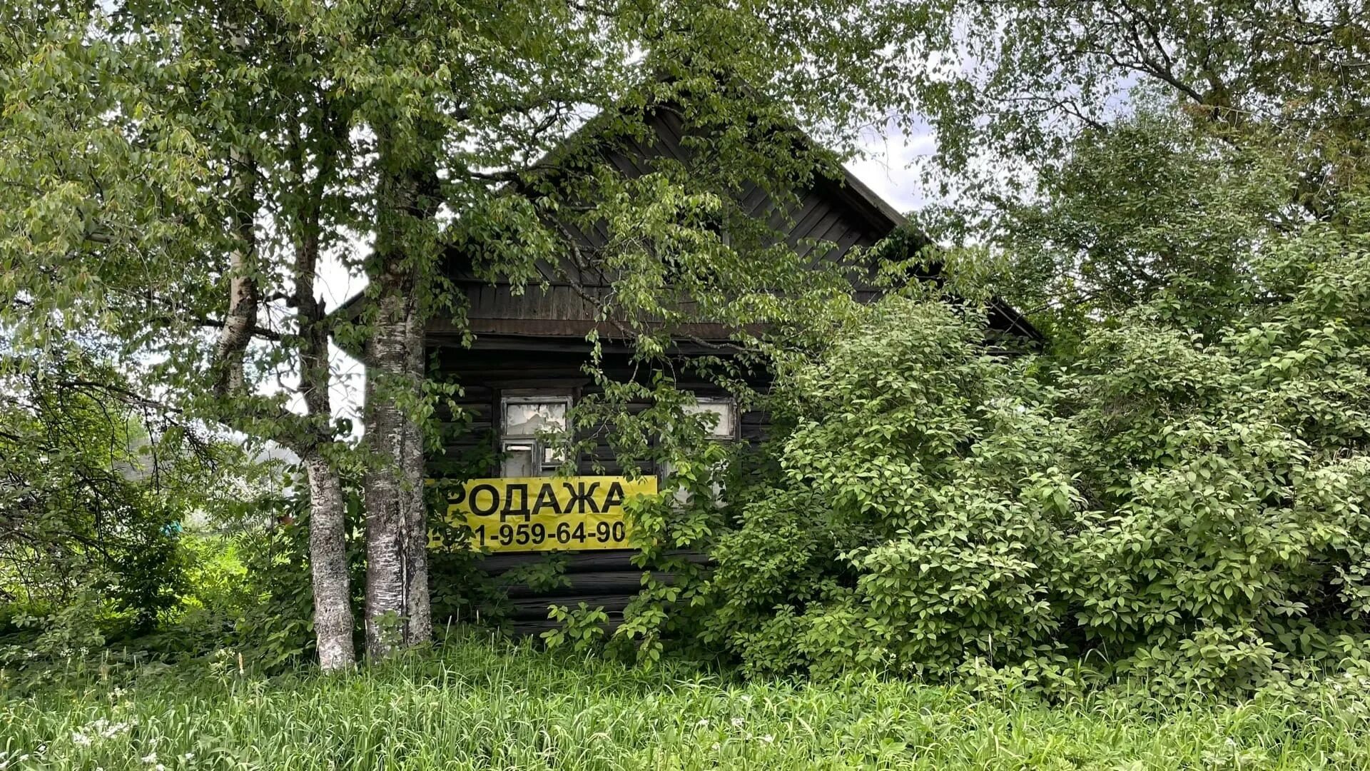 Озеро торбино новгородская область. Торбино новгородская область. Станция торбино. Окуловка торбино. Станция торбино.