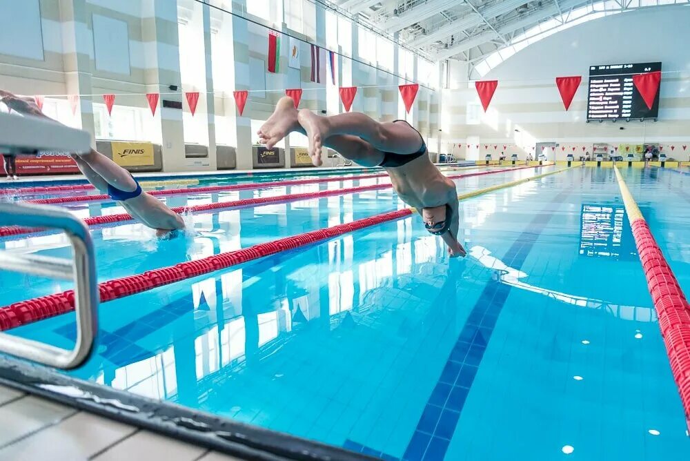 224 школа минск бассейн. бассейн бгуфк минск. Swimming pool minsk. белорусский государственный университет физической культуры. соревнования в бассейне для детей.