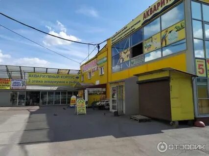 Кондратьевский рынок