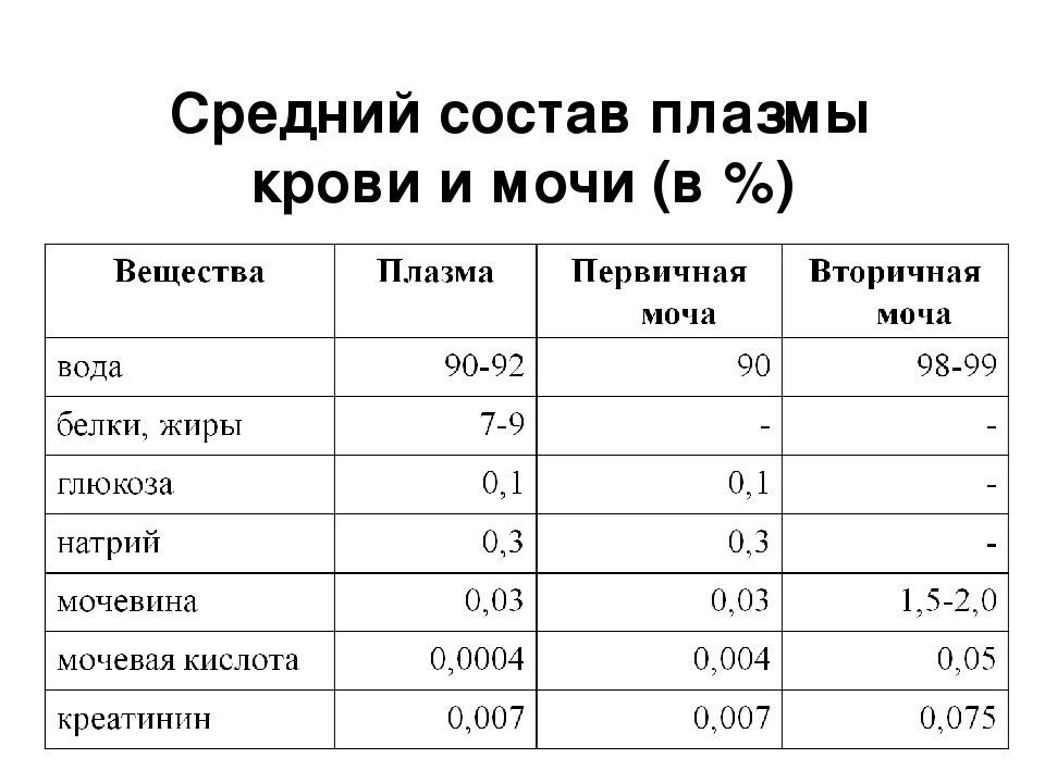 Первичная моча содержит белки. Первичная и вторичная моча таблица. Первичная и вторичная моча. Первичная и вторичная моча таблица сравнение. Первичная моча содержит.