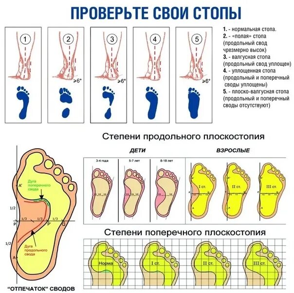 Направил свои стопы