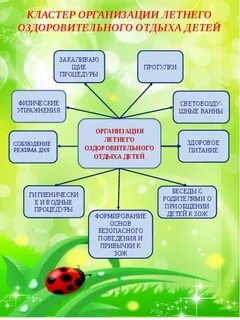 Летняя программа детского сада
