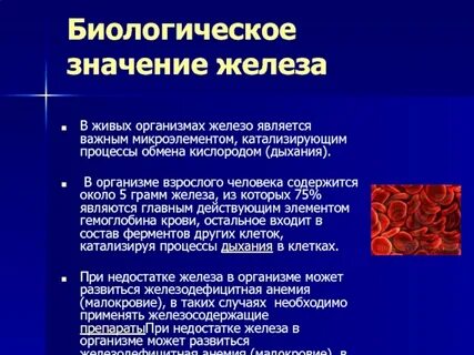 Функции железа в биологии