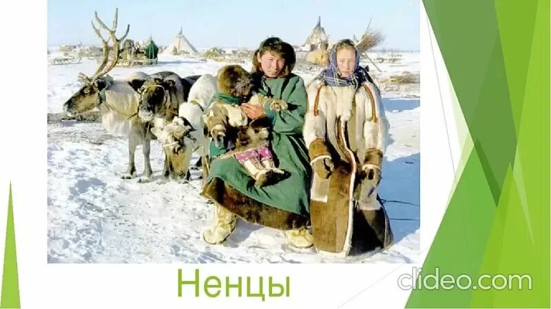 Самоеды ненцы. Сибирские ненцы народ. Народы Сибири ненцы. Ненцы народ России для детей.