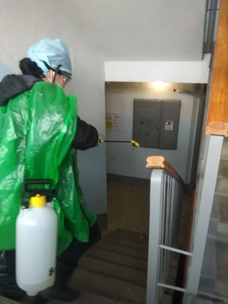 нова управляющая компания петрозаводск. корал групп эксплуатация петрозаводск. нова петрозаводск официальный сайт. чистая 11 петрозаводск. ул.