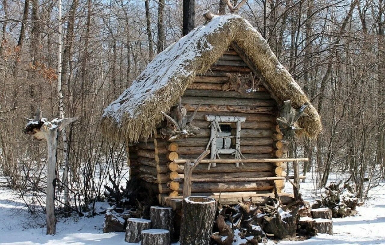 Домик лешего