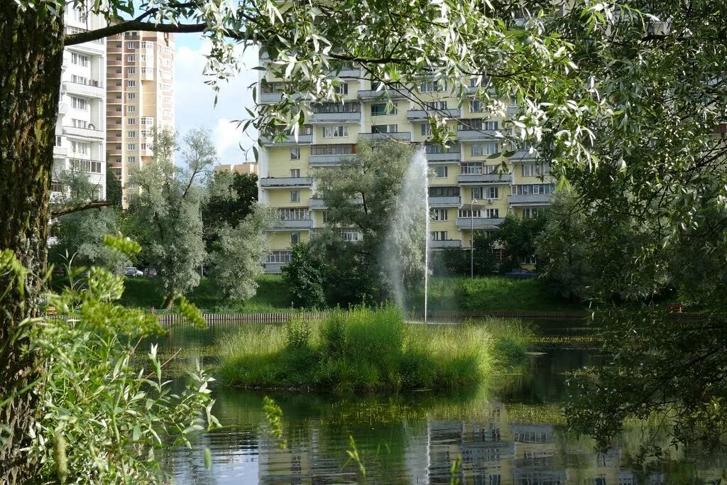 Времена года клуб зеленый город. Зеленоград зелёный город. зеленоград московская область. зеленоград мо. город москва город зеленоград.