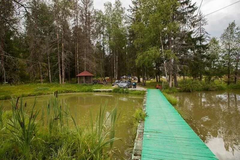 Платная рыбалка нижний новгород с домиками. Платная рыбалка нижний новгород с домиками. Платная рыбалка нижний новгород с домиками. Хмелевая поляна нижегородская область платная рыбалка. Хижина рыбака самарская область.