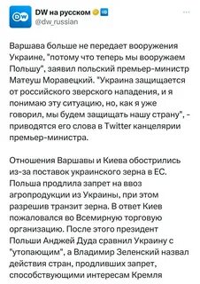 Канал саваничи
