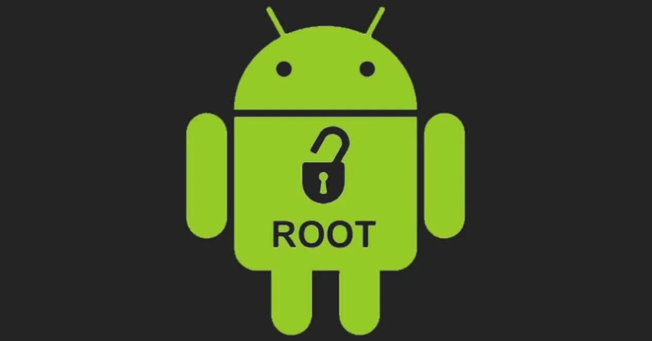 Root