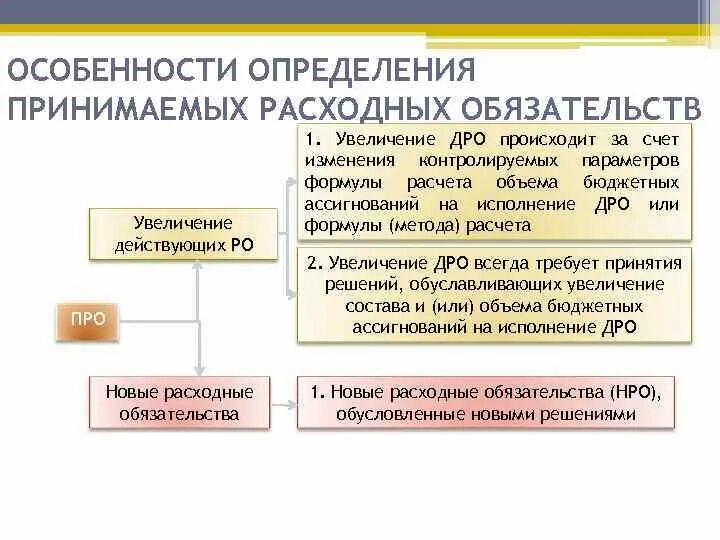 Расходные обязательства примеры. Действующие и принимаемые расходные обязательства. Действующие расходные обязательства это. Примеры действующие и принимающие расходные обязательства. Установление расходного обязательства