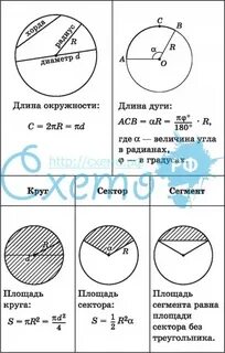 Длина сегмента