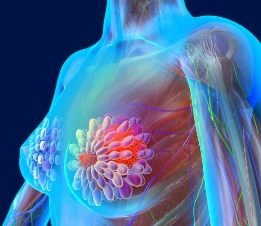 Image of human milk ducts as you've never seen them The Independent The Independ