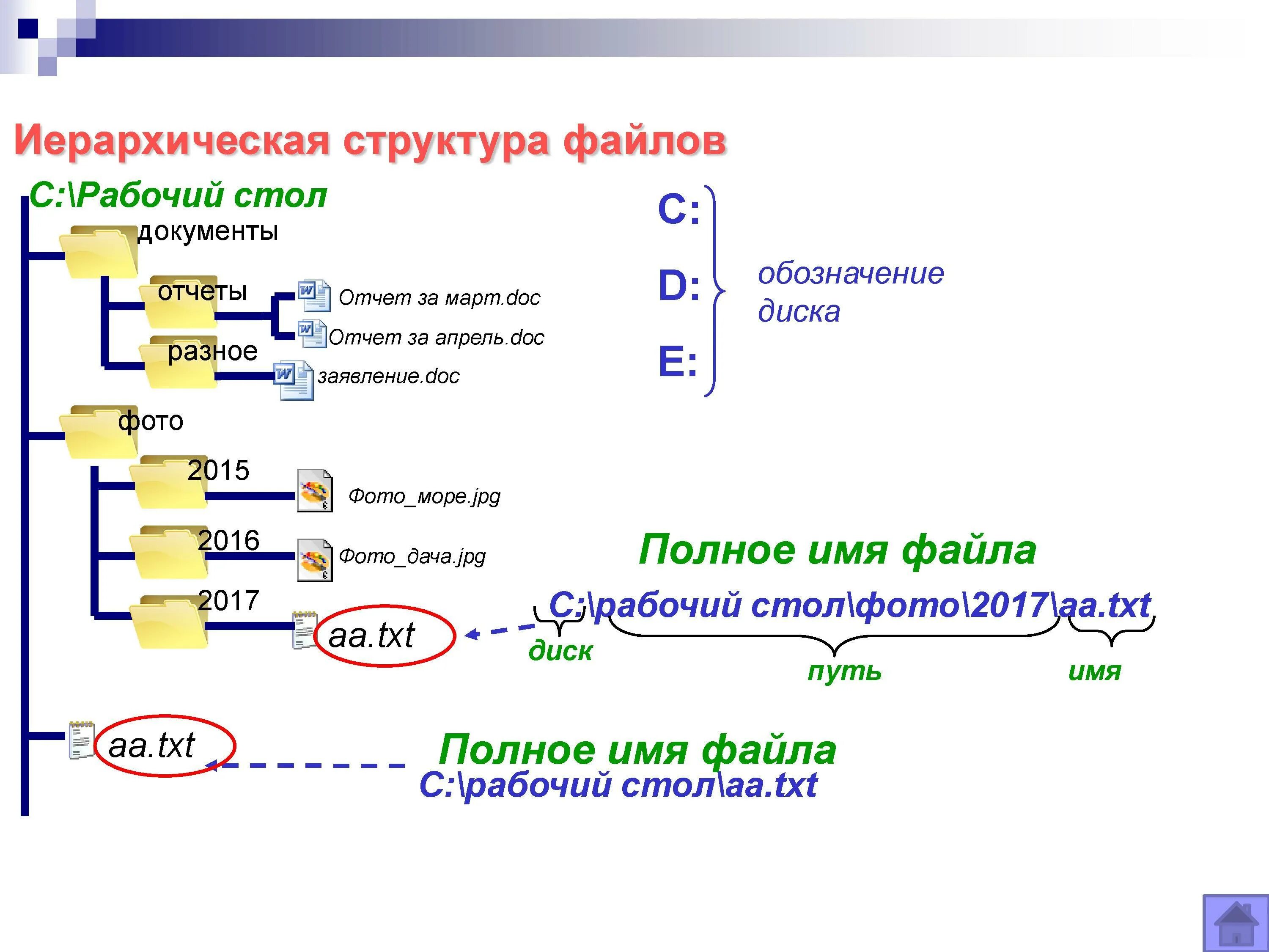 Файлы и файловые структуры. Дерево файловой структуры. Проверочная на файлы и файловые структуры. Иллюстрация файл и файловая система. Файловые структуры информатика 7 класс