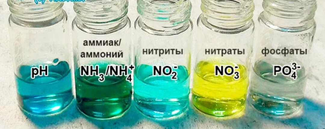 Нитриты в питьевой воде. Нитраты и нитриты. нитриты в воде. нитраты в воде. нитраты и фосфаты в воде.