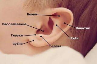 Рефлексы новорожденного фото. Мочки ушей у новорожденных. Хватательный рефлекс у новорожденных. Малыш теребит уши 8 месяцев. Ребенок теребит ушко.