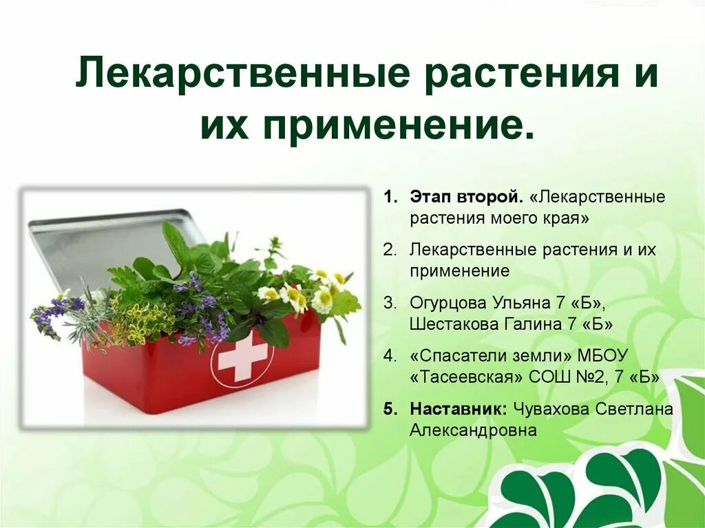 Растения лекарства. Лекарственные растения. Лекарственные растения и их использование. Преимущества лекарственных растений.