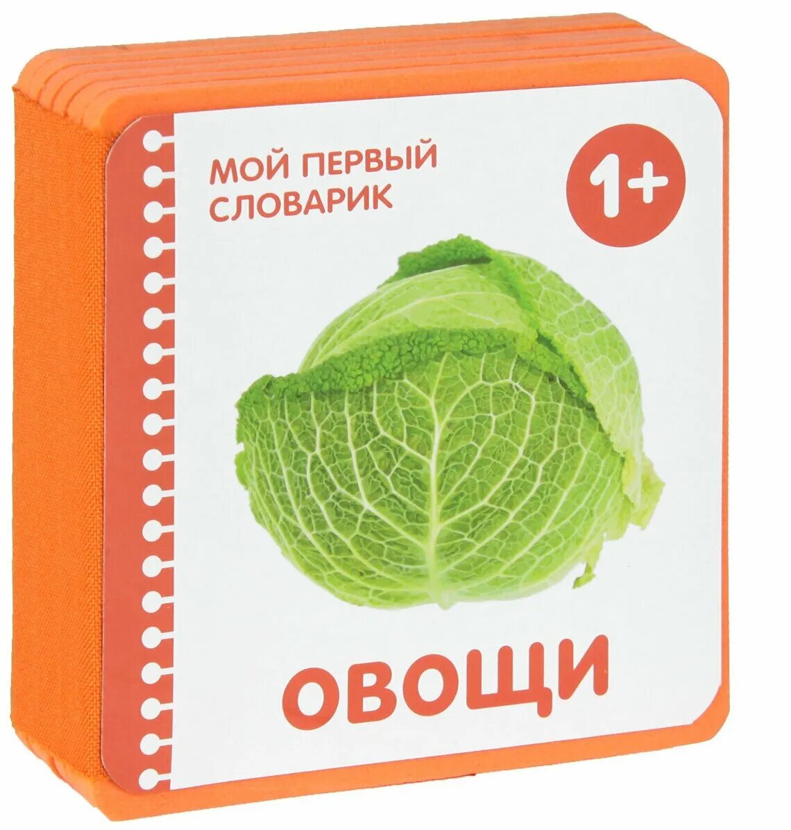 мой первый словарик. транспорт. мой первый словарик. мой первый словарик. транспорт.