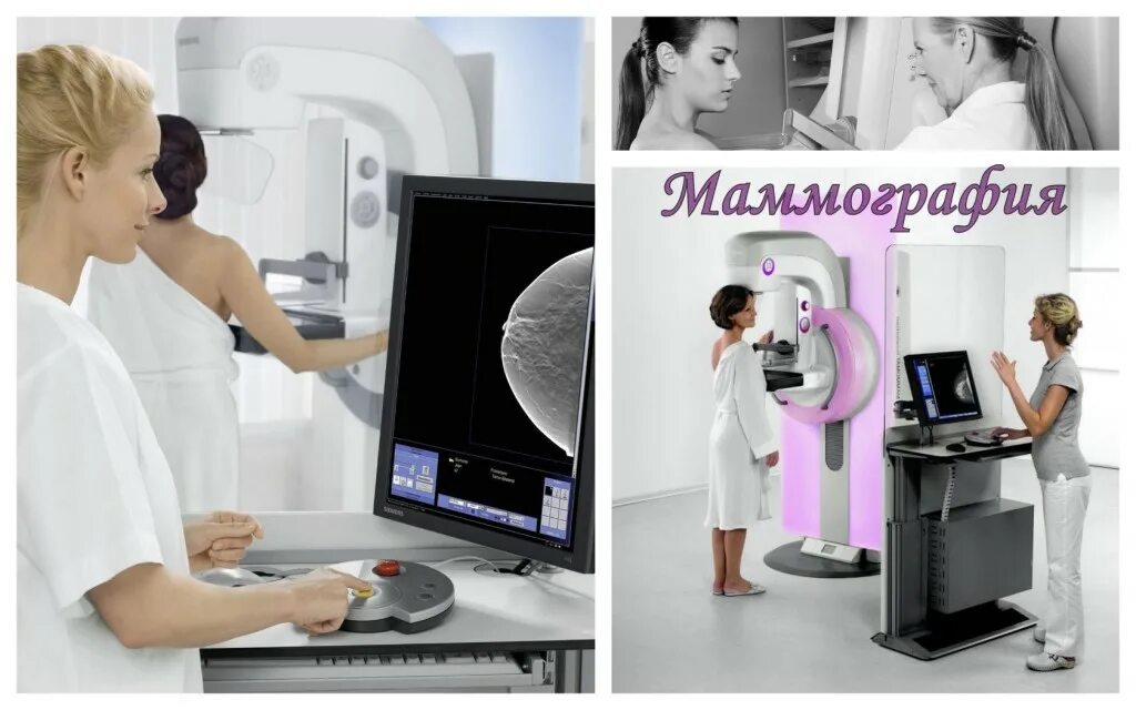 маммография ставрополь. исследование маммограф. маммограф строение. маммография ставрополь. маммография ставрополь.