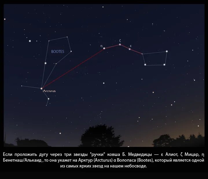 Количество видимых на небе простым глазом звезд. Созвездие рядом с большой медведицей в виде треугольника. Созвездия рядом с медведицей. Созвездия на небе рядом с большой медведицей. Положение звезд на небе.