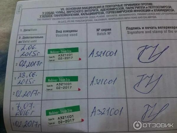 Сколько вакцин нужно. Прививки для котят название вакцин. Прививка Нобивак. Прививки Нобивак вакцинация и ревакцинация. Прививка для кошек комплексная Нобивак.