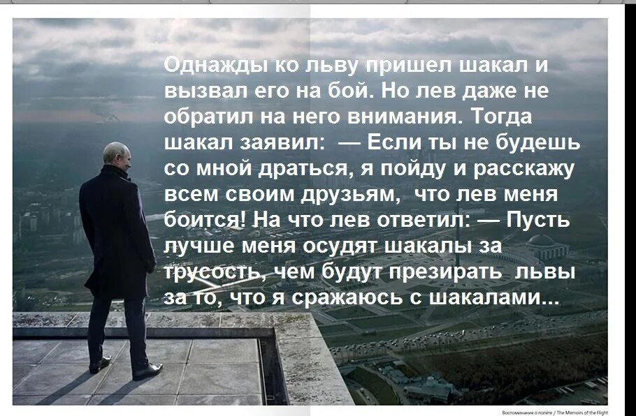 Притча про Львов. Про Шакал притча. Притча про Льва и шакала. Цитаты про Львов и шакалов. Притча про льва