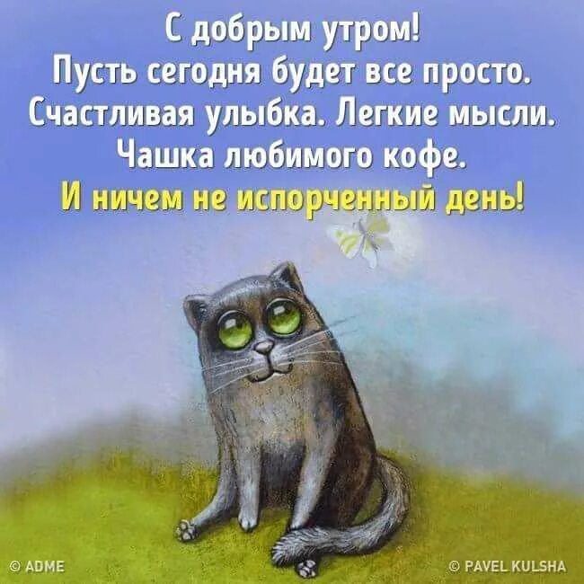 Пусть все будет добрым. Пусть сегодня будет лучше чем вчера. Пусть всё будет хорошо с добрым утром. Пусть сегодня все будет хорошо. Сегодня был легкий день