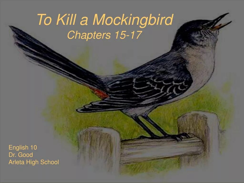 Eder mockingbird. Mockingbird. mockingbird слова. mockingbird перевод. mockingbird eminem перевод.