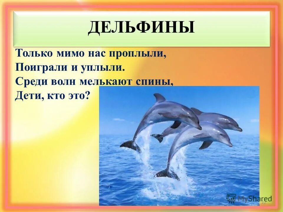 Сообщение на тему самое быстрое животное. Гепард самый быстрый. Вопрос по теме млекопитающие. Млекопитающие звери. Подкласс яйцекладущие представители.