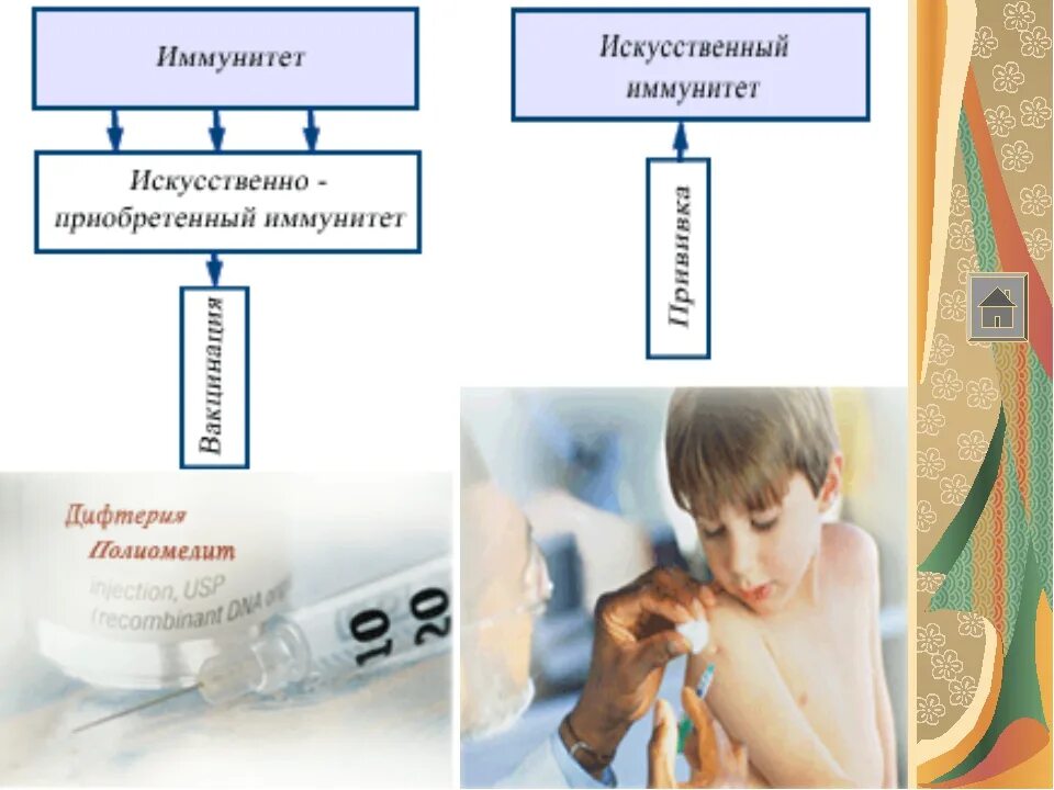 Формирование искусственного иммунитета
