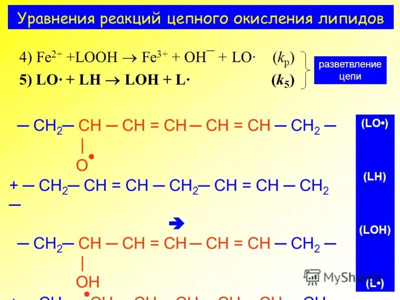 Cl p реакция. Уравнение реакции окисления. Схема реакций перекисного окисления липидов. Реакции перекисного окисления липидов. Перекисное окисление липидов цепь.