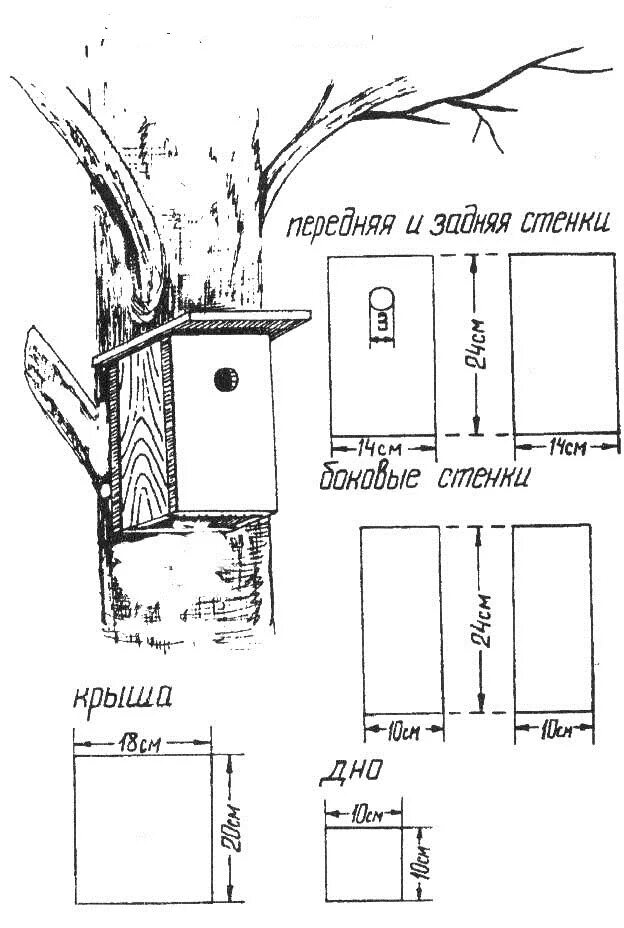 Сделать скворечник своими руками размеры и чертежи. Чертежи скворечника и синичника. Скворечник схема и синичника и малого синичника. Синичник Размеры чертеж с размерами. Скворечник синичник Размеры и чертежи.