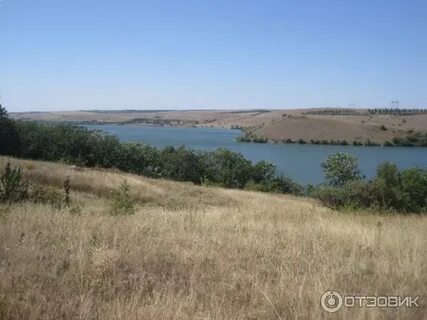 Каменское отзывы