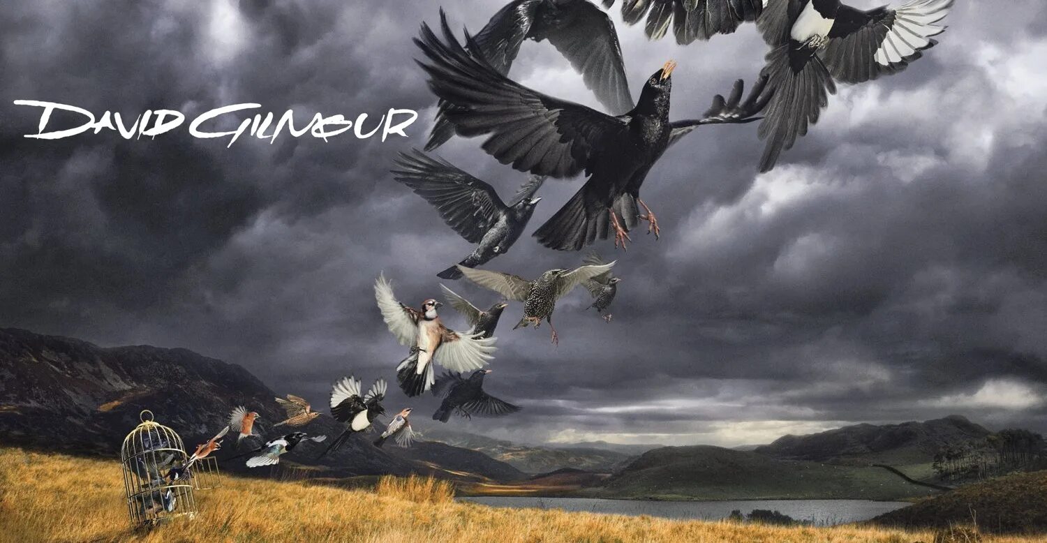 David lock. Rattle that lock дэвид гилмор. дэвид гилмор 2015. david gilmour rattle that lock 2015 обложка. david gilmour rattle that lock обложка.