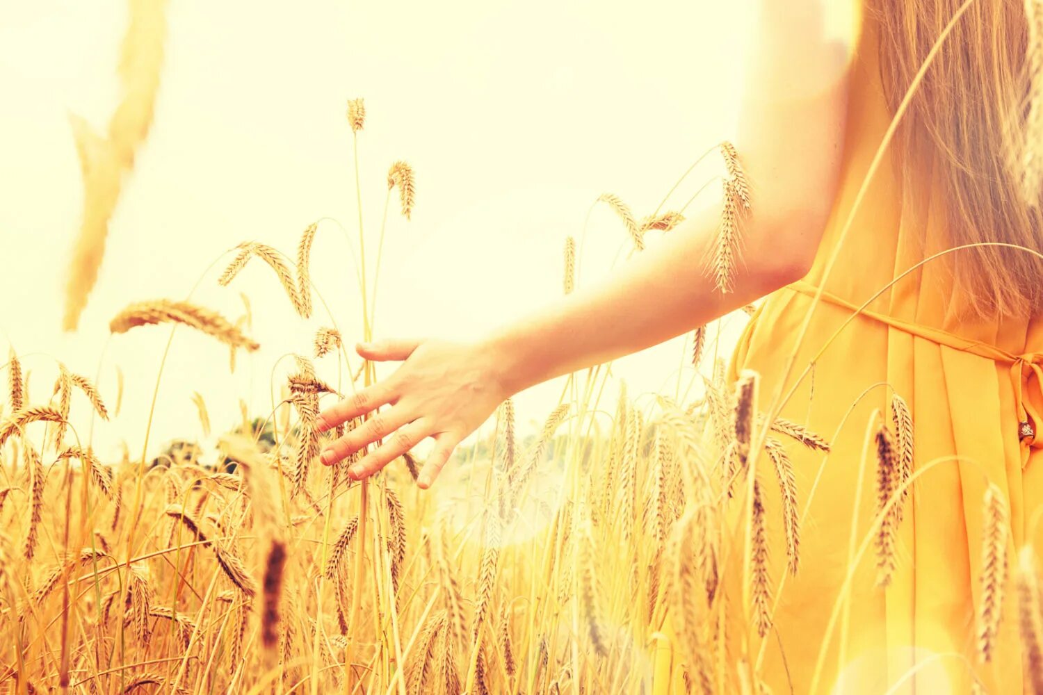 женщина идет по полю. девушка убегает в поле. девушка бежит в поле. женщина идет по полю. женщина идет по полю.