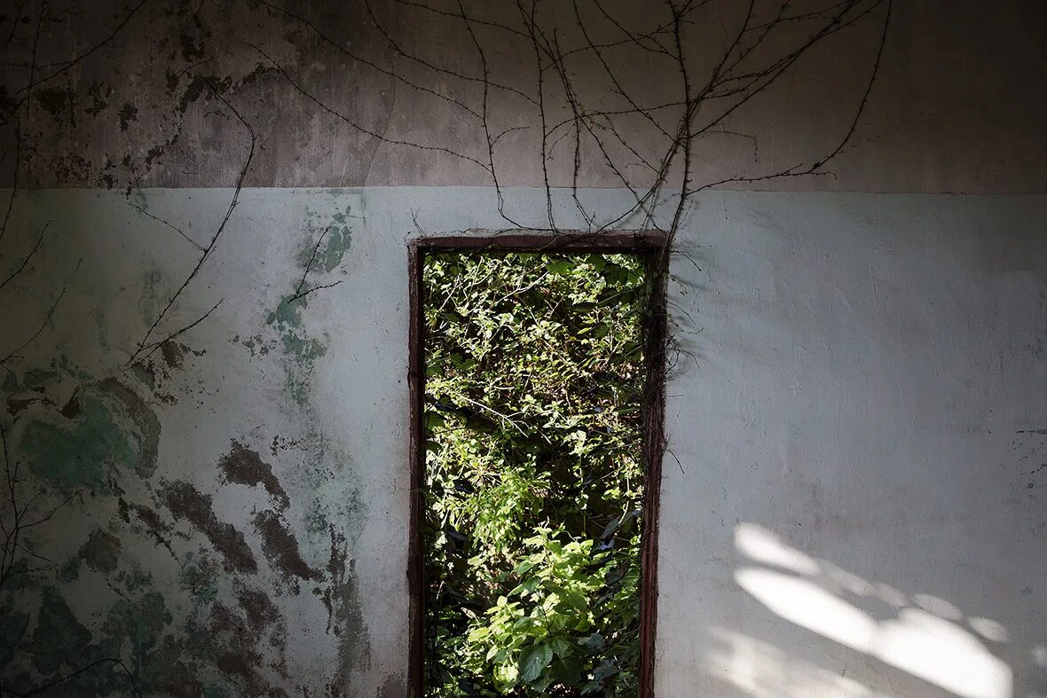 Abandoned village reclamation. Заброшенная Рыбацкая деревня Хутуван. Плющ в заброшенном азиатском. Деревенское приведение. Хоутоувань деревня призрак.