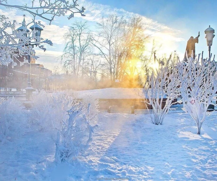 Снежное утро красивые. Солнечный зимний день. Морозный зимний день. Мороз и солнце. Снежное утро.