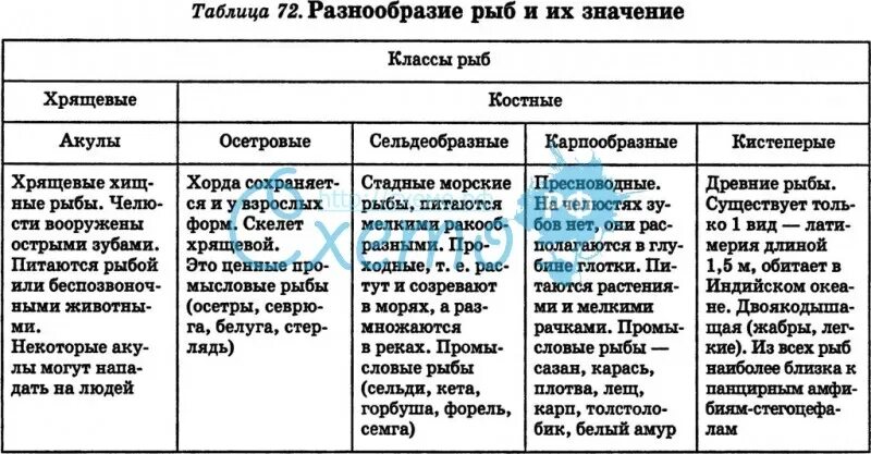 Таблица рыбы 8 класс биология. Разнообразие рыб таблица. Класс рыбы таблица. Основные отряды рыб таблица. Таблица по биологии многообразие рыб.