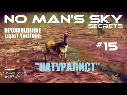 Скай скана