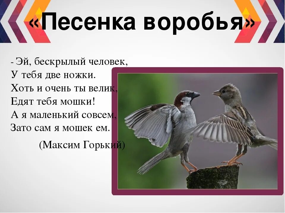 Текст песни воробьев. Песенка про воробья. Воробьиная песенка. Текст песни Воробей. Песенка про воробья текст.