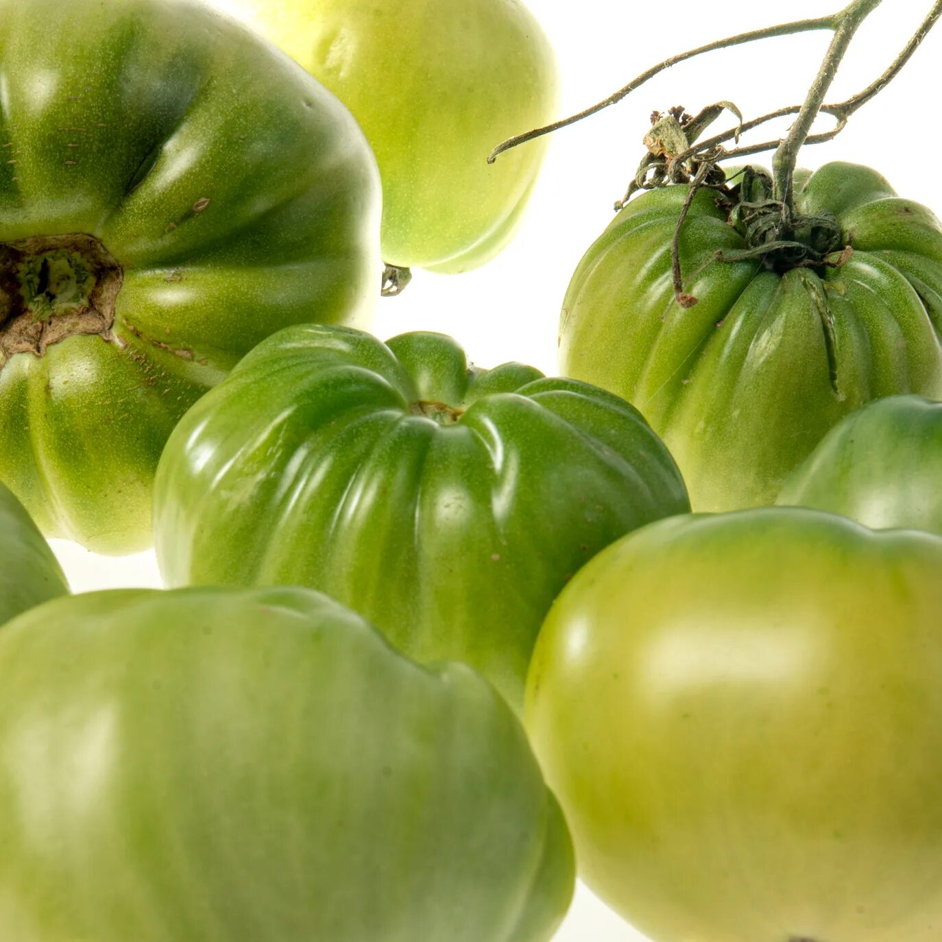 Купить зеленые томаты. Зеленые помидоры. Зеленые томаты. Зеленый помидор на белом фоне. Вяленые зеленые помидоры.